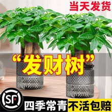 �lؔ��С���ԃȃ����՚�ˮ��lؔ����B���ܾGֲ���k���ҹ�λ�[��