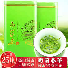 2022新茶绿茶茶叶 浓香型250g礼盒罐装龙井绿茶日照松阳香茶