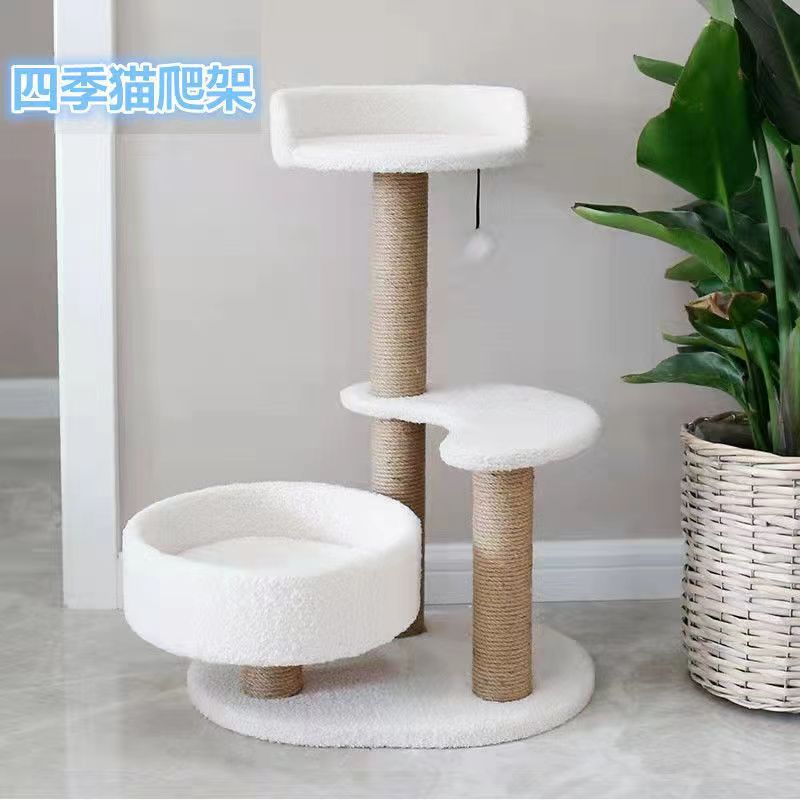 화이트