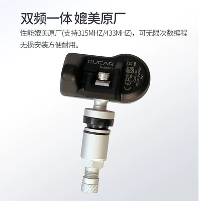 Sensor TPT100, Tire pressure monitoring system