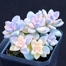 \¿Ⱥֲ¶BԽMֱ҃lF؛̨