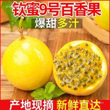 ����J��9̖������������rˮ���u�����ϙ������������������]��