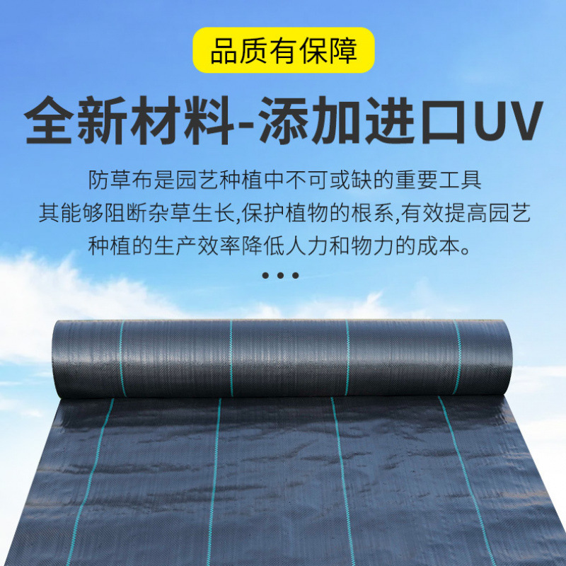 新型防草布寸草不生农用加厚果园遮草盖草抗老化透气保湿防草地布