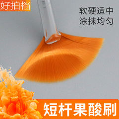 Cosmetics Brush Skin Care Acid Brush Skin Rejuvenating Essence Liquid Fan Brush DIY Tools Soft Hair Brush