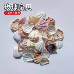 天然貝殻薔薇ホタテ貝海螺壁貼りDIY微景観装飾水族地台風鈴部品花色