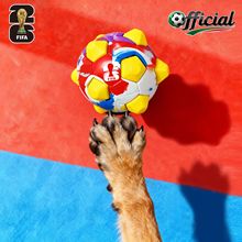 FIFA�ٷ��ڙ�������Ʒ���ӹ��������ҧ������˽␞�������籭