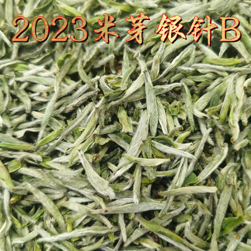 2023米芽银针B主图.jpg