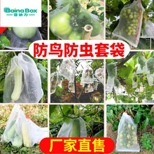 加厚尼龙网袋套袋浸种袋葡萄水果套袋火龙果袋果树防虫防鸟网袋子