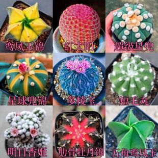 ������M�ϼt̫ꖶ������߹�ĵ���\�����_���������҃��k�������l