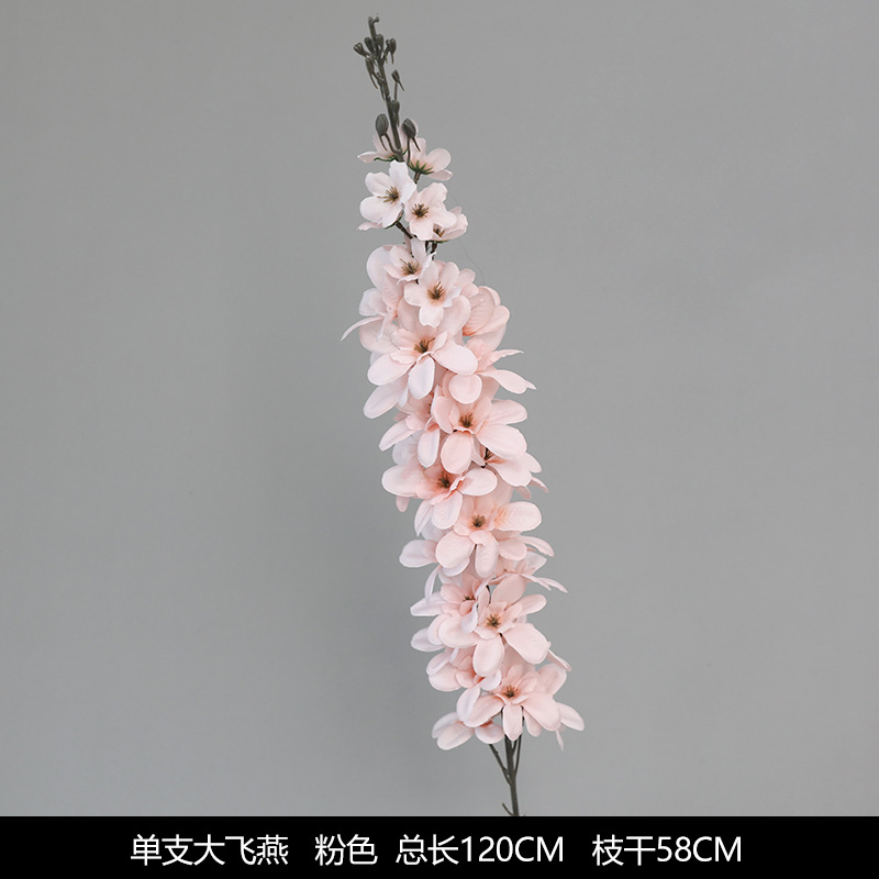 Single big flying swallow