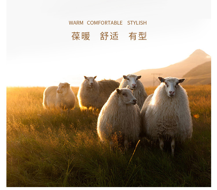 O1CN01lYuBoy1FpzO4288qo_!!2731