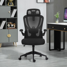��X�μ����k���μ�ͥ�������m���ξW��͸���ΌW���L�����w���W��