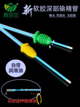 ݔĸiݔƿ ܛz^̶Ȏiݔ ˹ھƿ