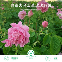 ���������W�D���Rʿ��õ�弃¶��ˮ ���yˮ �aˮ�o�w��¶ԭ��