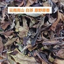 2024������ϰײ��ɽԭҰԭ���̲�ԭ�� �����ײ蹤ˇ �Ř���~