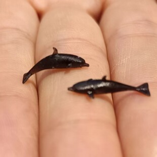 �������^�L�{���~�{�����N�^Ĩ��΢������΢�͵��z�����Ϙ�֬