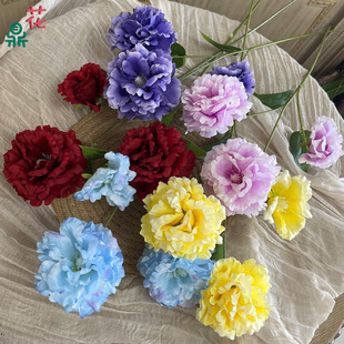��۹� ��șĵ�� ��Y�F��·�����T���üٻ� �͏d�������b���