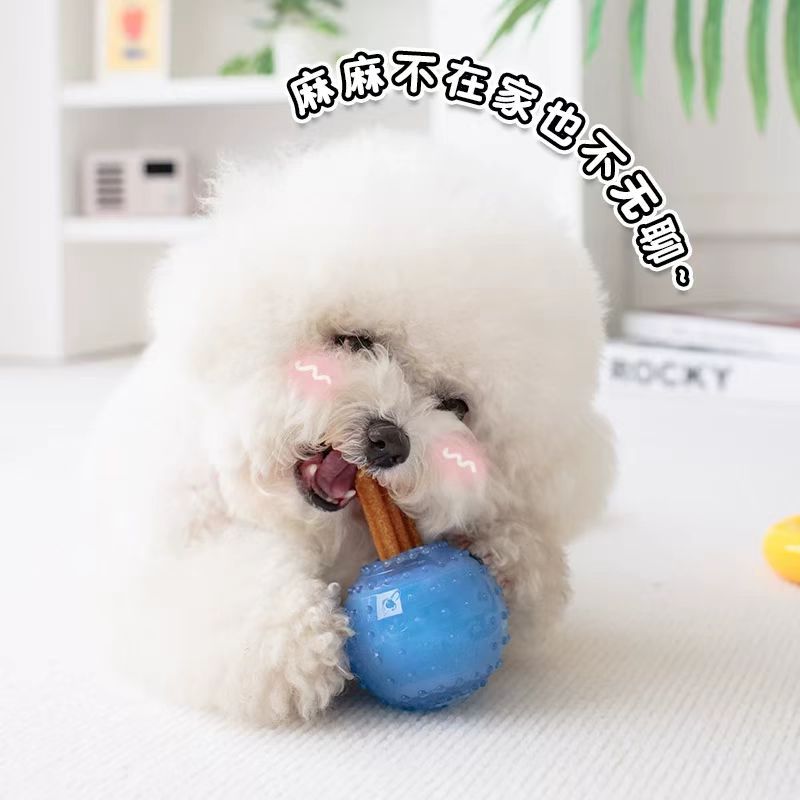 인기 판매 애완동물 장난감, 냉동 뼈, 물림 방지, 치아 세척, 냉각, 대화형, 지루함 완화, 젖니가 남 장난감 제조업체 도매