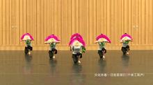 中国舞蹈家协会花鼓灯舞韵俏兰花考七级十级舞蹈考级扇子手绢道具