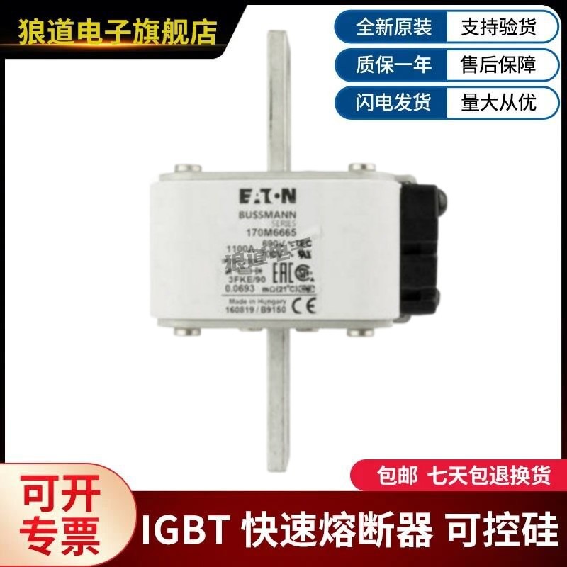 供应原装正品现货170M6666 170M6667 170M6668巴斯曼熔断器