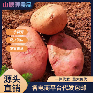 ������ϼtƤ�����r���ԷN�߲����r�����tƤ�R�������һ�����l