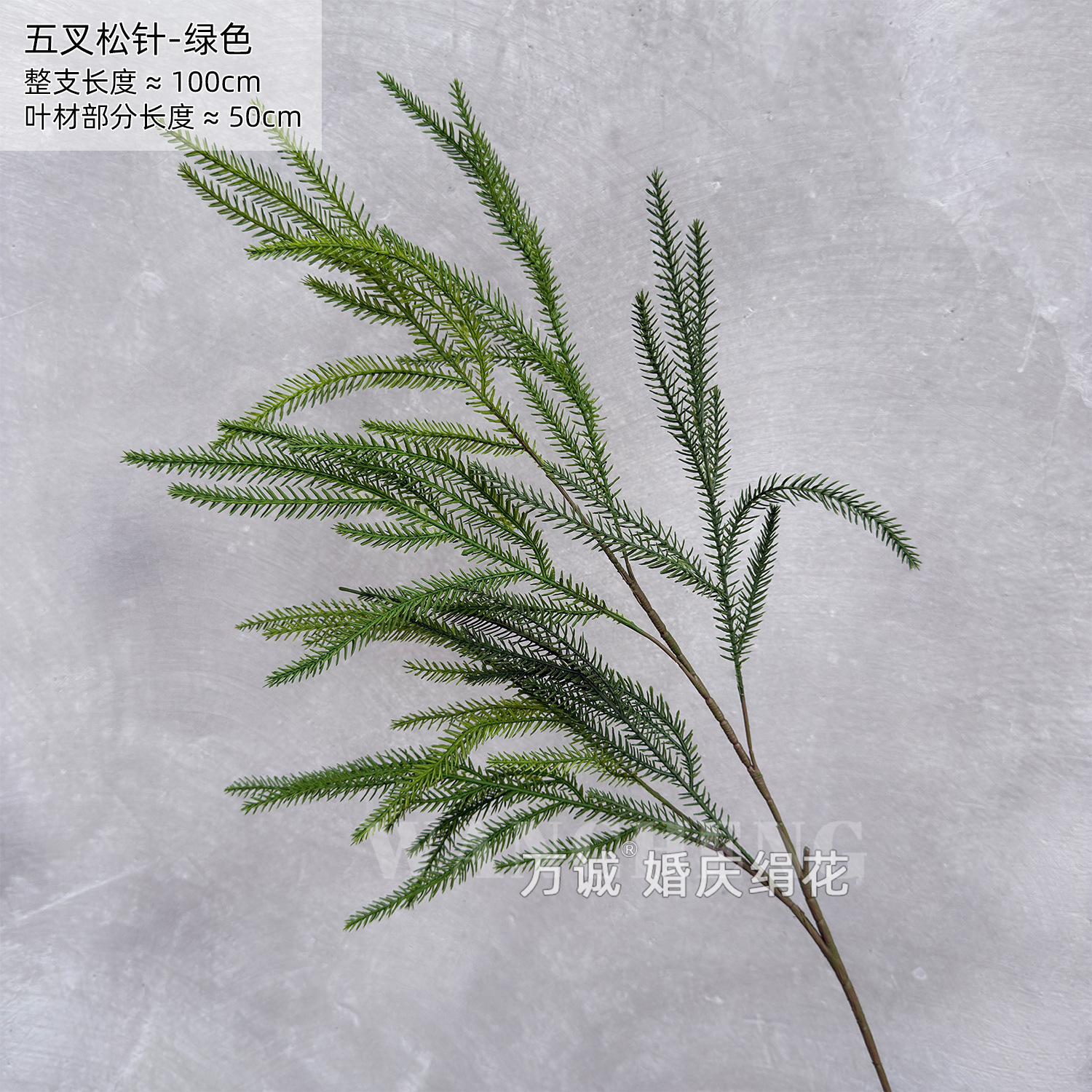 Five-pronged pine needle green