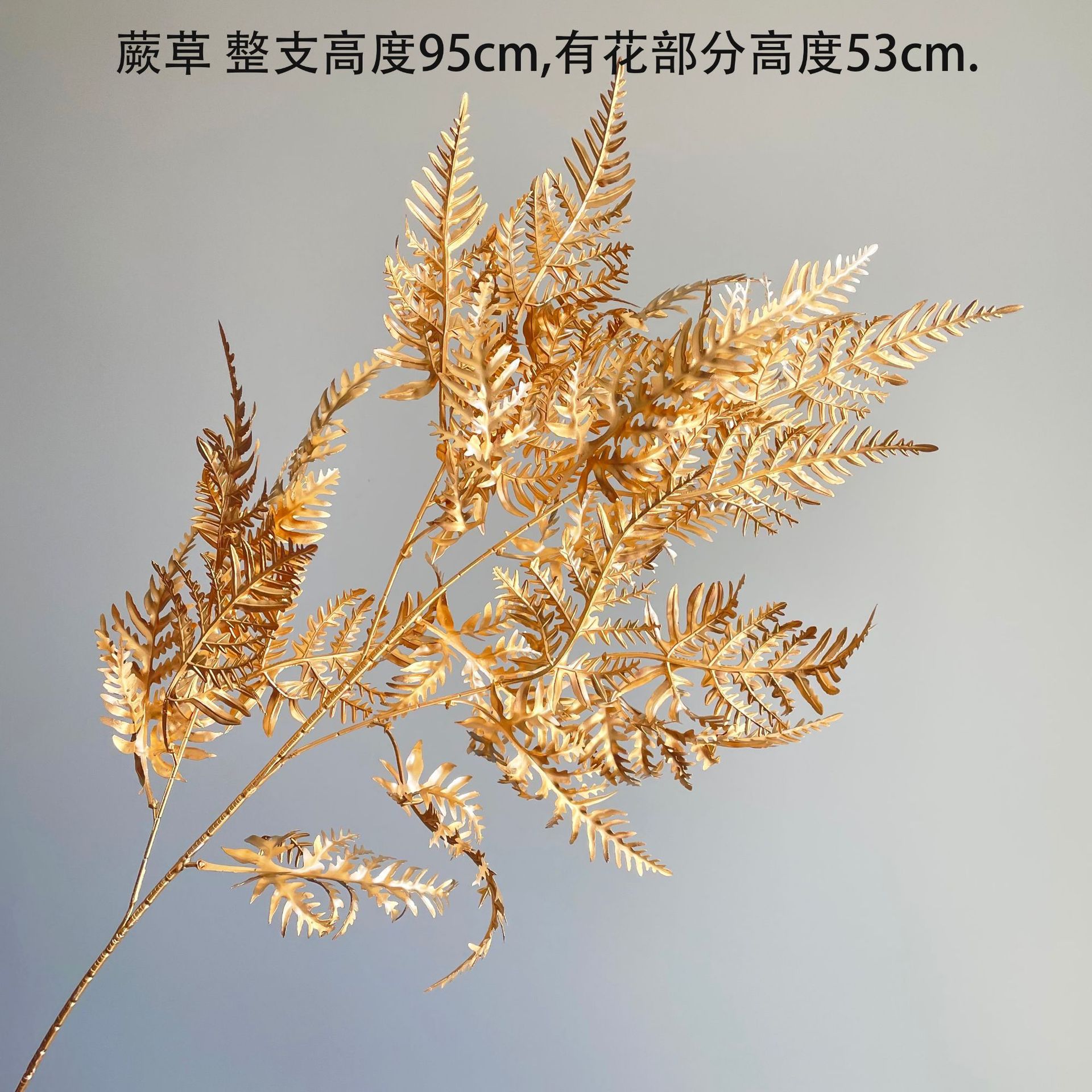SKU33_颜色_蕨草