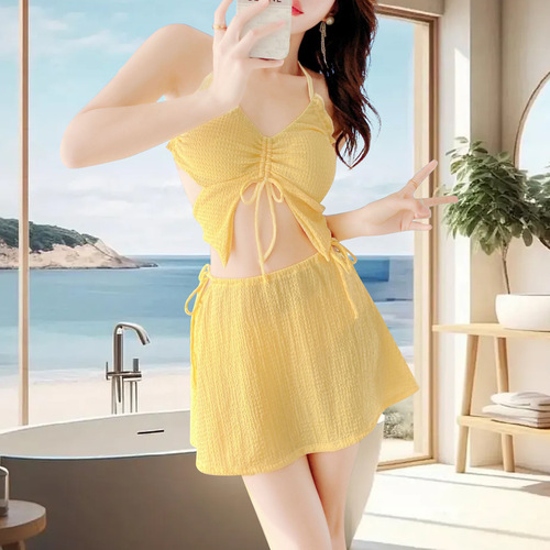 Women's Summer Swimwear Set, Separate Sexy Small Cup Shaping Two-Piece High-Waist Body-Concealing Slimming Pure Desire Style Swimwear, Wholesale