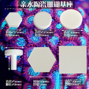 ɺ����ֳ�����쾰�~�۔�֫���бPˮɺ���մɵ�����߅������