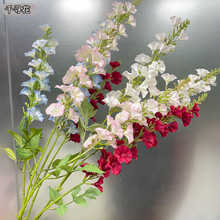 2024���¿��w��� 2�^������~�� �����ɚ⻨�Ĵ���С����ǧ����