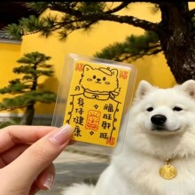 ������ ��ؔ������ع��������@�µĹ������Ą�����������Ƭ���l