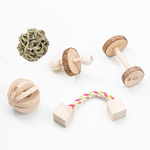 eBay Amazon AliExpress hamster parrot bird cat dog wooden small toys teeth grinding