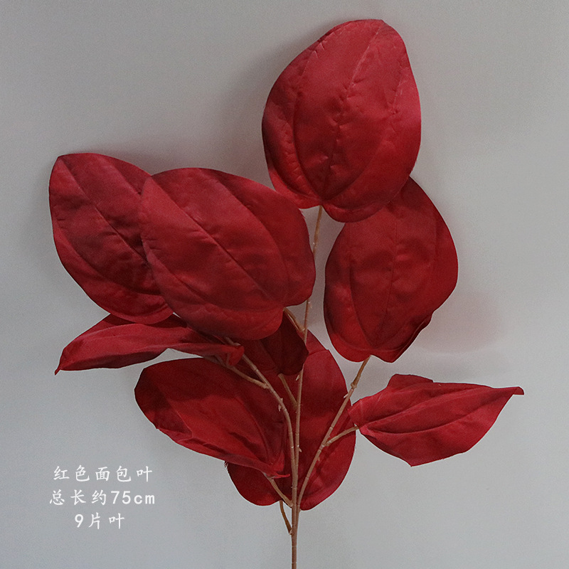 빨간 빵 잎 한 가지