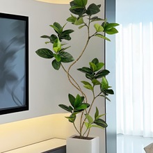 ����Gֲ�ϼ������҃ȿ͏d�߶��p���b[��������ظ߼�����ֲ��