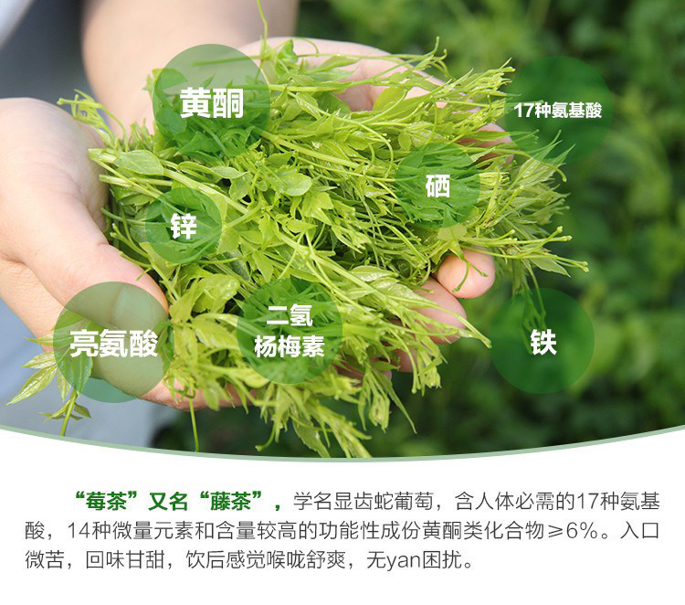 Wild Mei Tea Zhangjiajie Premium Wild Vine Tea 500g Pre-Qingming Purple Gold Bud Tips Hot Brew Herbal Tea specifications