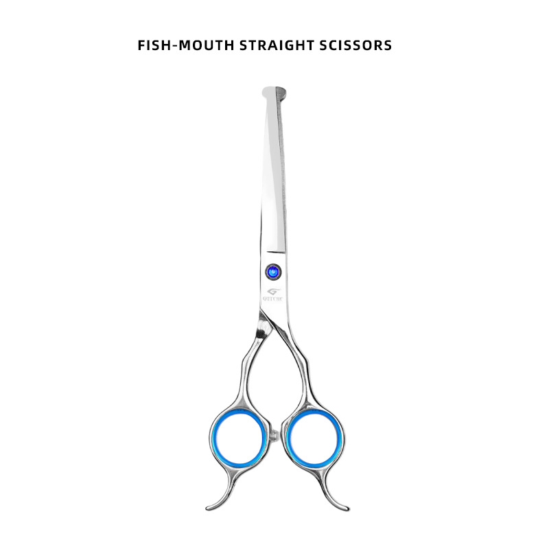 【 6.5inch 】쌍귀 물고기 입 작은 사파이어#플랫 컷