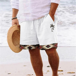 Linglong Hemp Summer New Men's Clothing Temu Pinduoduo 3D Digital Printed Shorts Loose Straight Beach Pants Batch