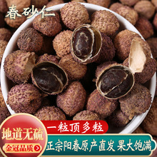 �ؼ����x100�˴������ꖴ���ɰ��ꖴ��خaҰ����ɰ�ʹ��Ƥ�Ҝ�