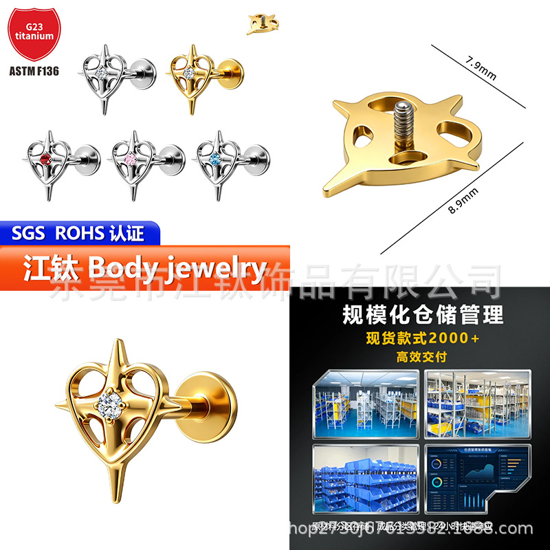 Pointed titanium steel lip stud product view
