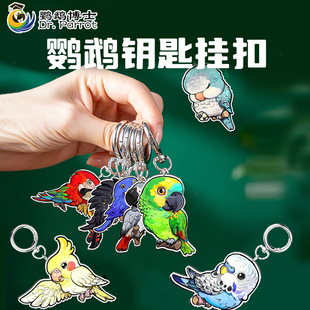 SuperRep��Fϵ�Є���耳׿۽����W�^���������W�^��߅���w�B���
