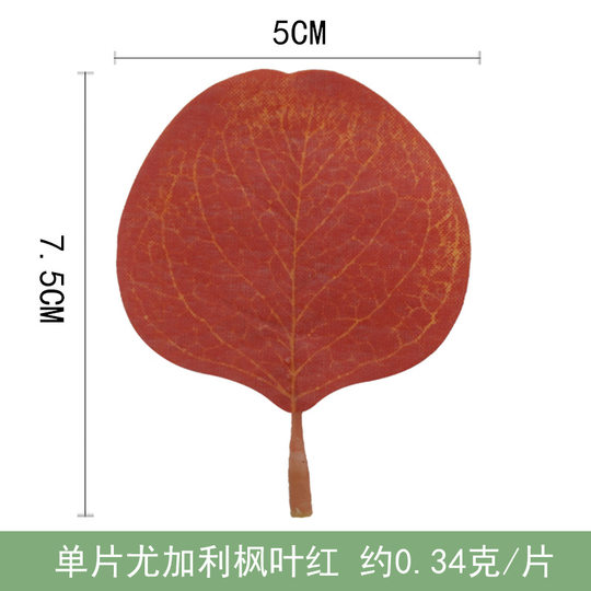 Xinouxi artificial eucalyptus single leaf round leaf eucalyptus leaf Mori DIY single decorative leaf