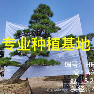 �e��ͥԺ�@���ձ������쾰 ���a���ͺ����辰���l ӭ�����ļ�����