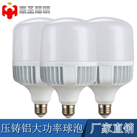 LED球泡灯;其他LED光源;LED装饰灯