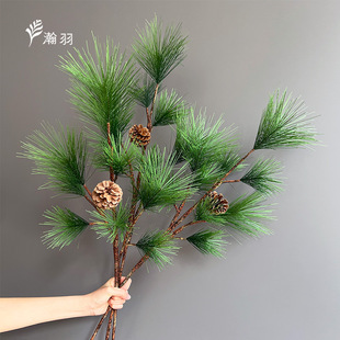 ��ʽ�ɰ�֦�Rβ�ɾ��^����َ���ӭ���ɼ���֦��֦��������ɘ�֦