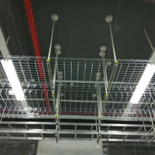 ���P䓾W��600100�W������늷ǘ��_��ʽ���304�W���߾��ܹ��w