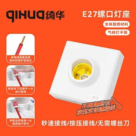 灯头、灯座;接线插座;电源插头