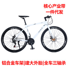 源工場から直接供給される、アルミ合金製ロードバイク（ストレートハンドル、大人男女兼用、内蔵ケーブル、変速、ディスクブレーキ）