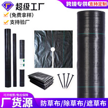 亚马逊防草布抗老化黑色盖草布跨境全新料园艺地布果园除草布批发