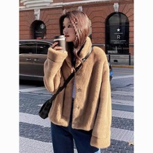 新款貂皮大衣女仿皮草秋冬季加厚短款洋气时尚宽松羊羔毛外套