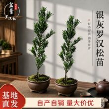 �ļ������y���_�h���� ͥԺ�������͘� �҃������^�~�辰�Gֲ�F؛